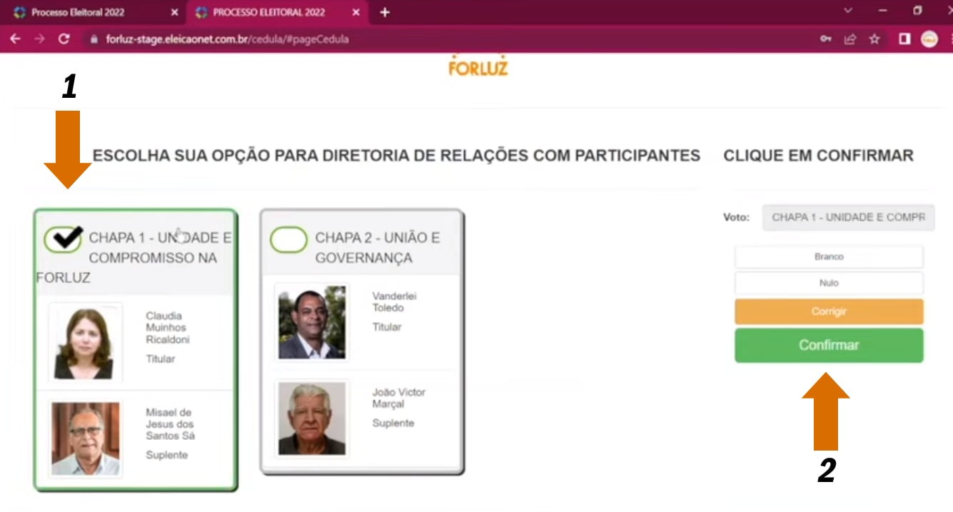 Passo A Passo Com Imagens Como Votar E Como Recuperar Senha Nas Eleições Forluz 2022 6639