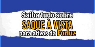 Saiba tudo sobre o saque à vista na Forluz para os ativos: Imposto de Renda, limite de 20% e liberação no final de 2023 ou início de 2024